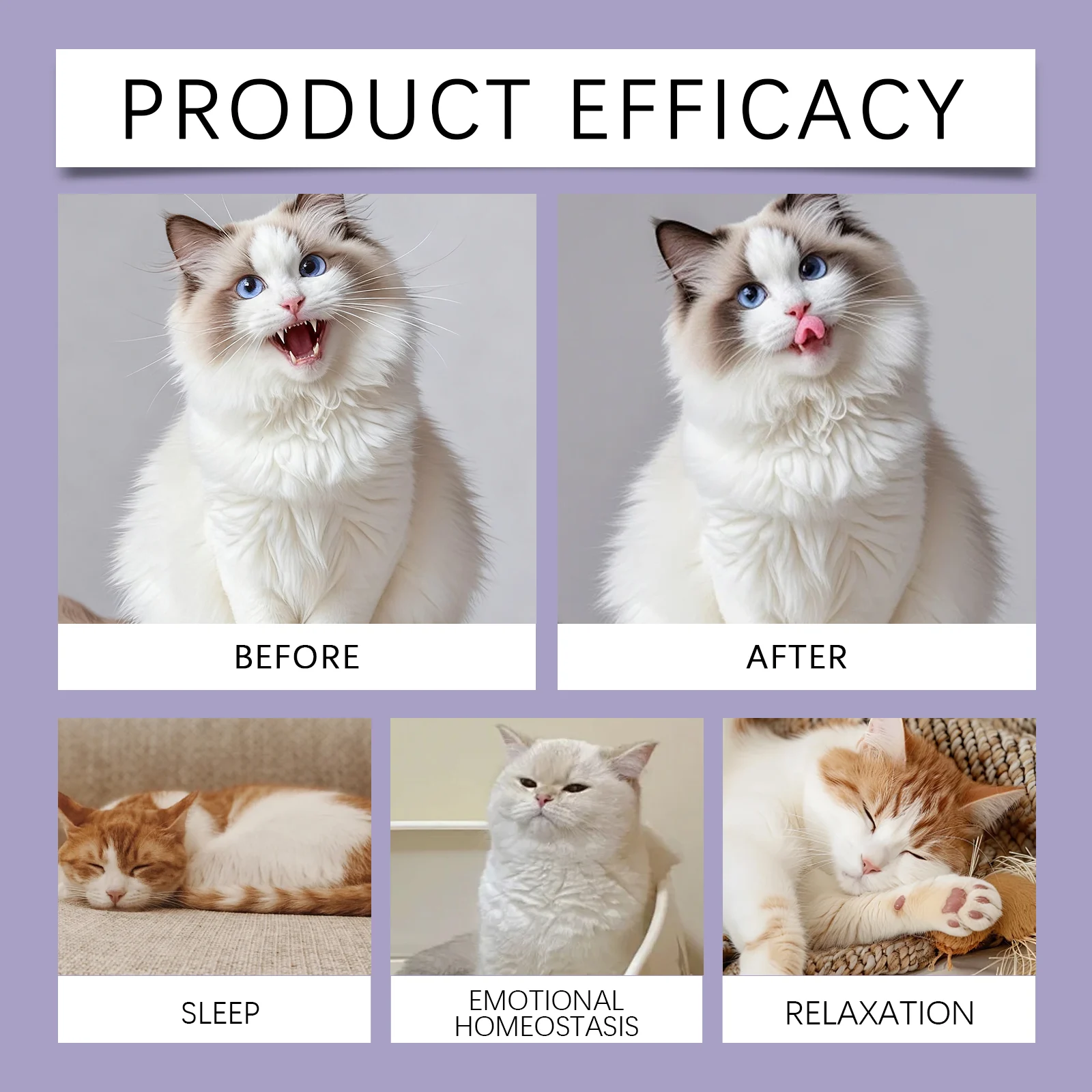 Cat Melatonin Drops 60ml for Sleep Support & Stress Relief with Valerian Root 12 cat melatonin drops 60ml kri vjs38yus desc 12